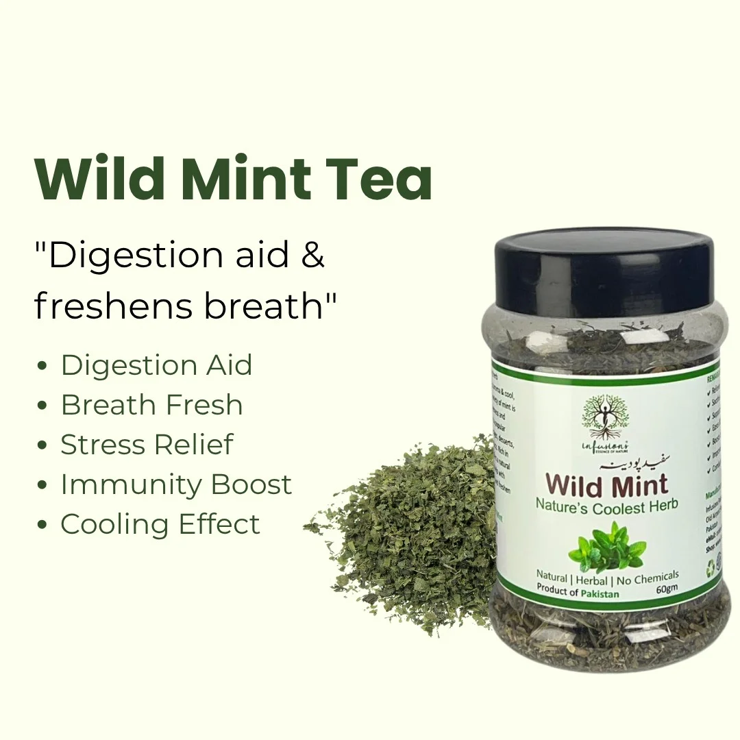 Wild Mint Tea (Safed Pudina) antioxidant benefits, digestive wellness and calming properties infographic