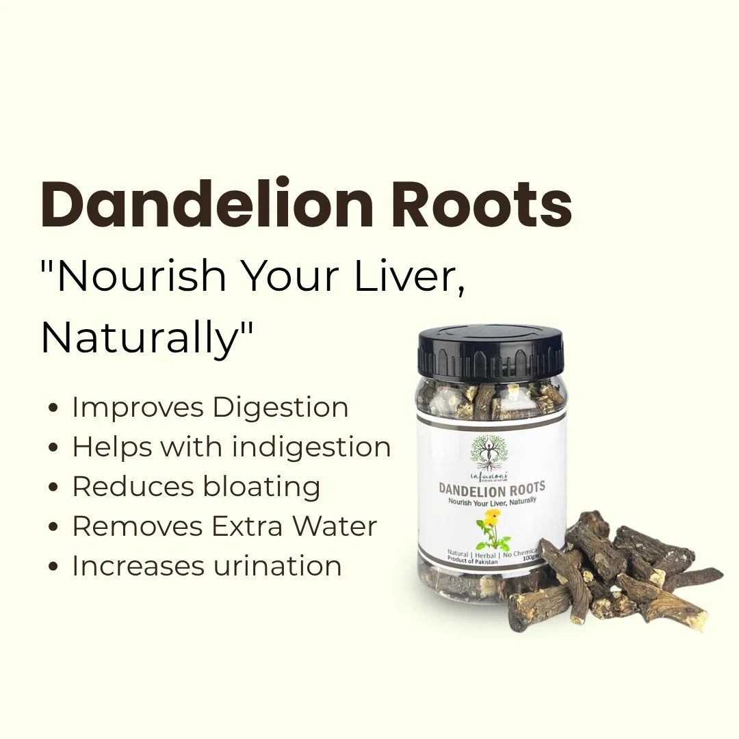 Dandelion Whole Roots key benefits, natural wellness properties and herbal care advantages infographic