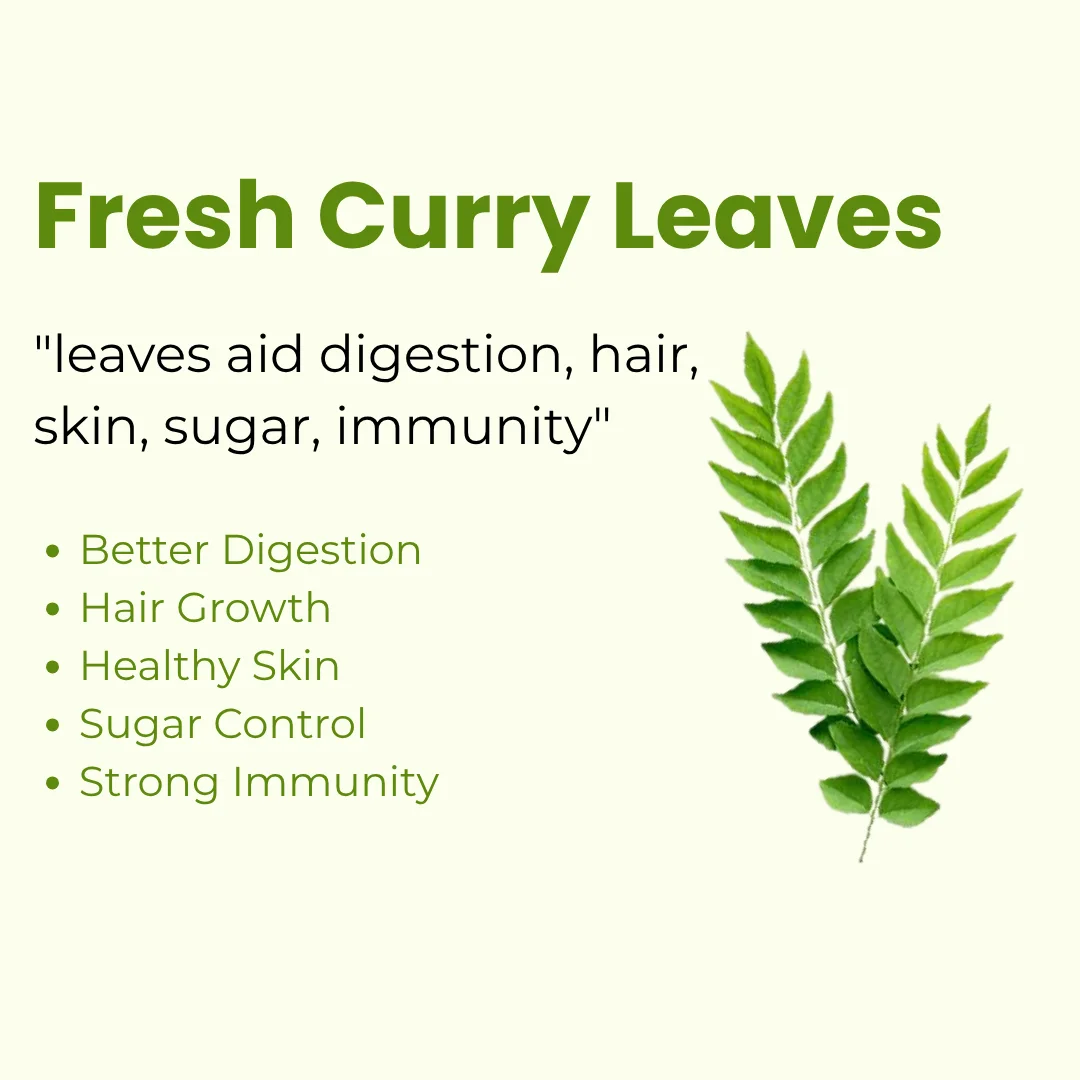 Fresh Curry Leaves key benefits, natural wellness properties and herbal care advantages infographic