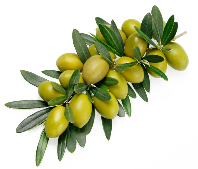 olive oil