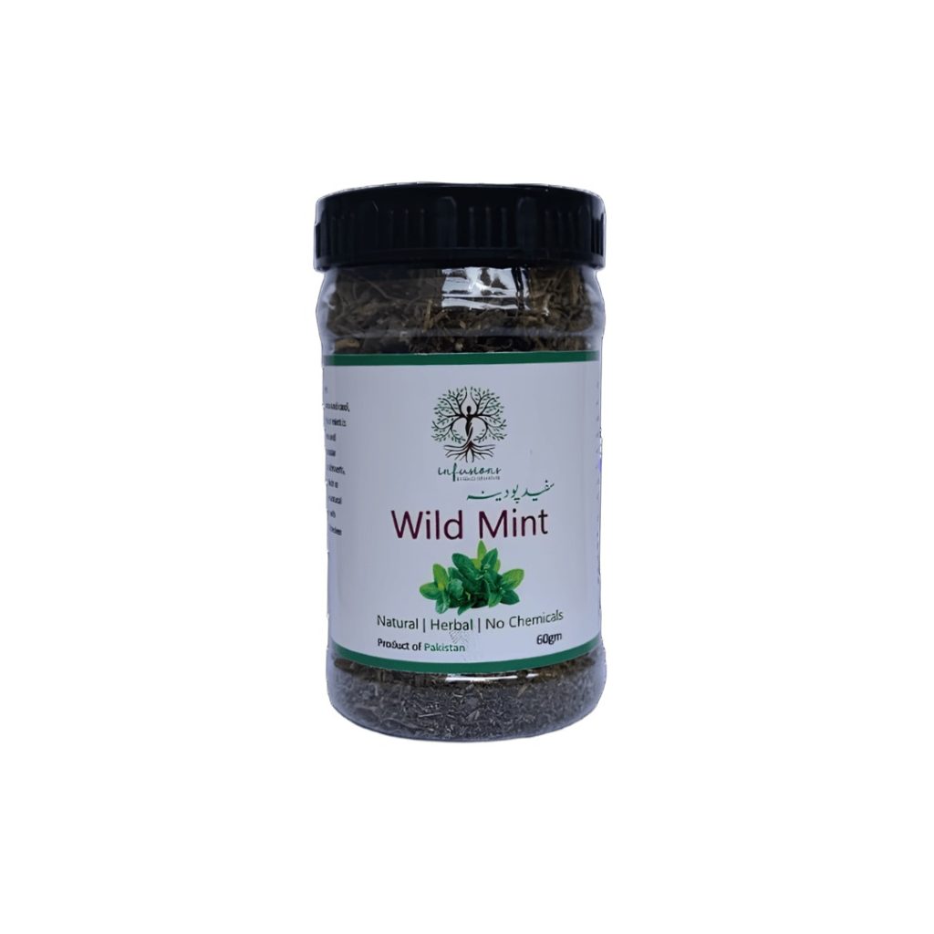 Wild Mint (Safed Pudina) - Dried