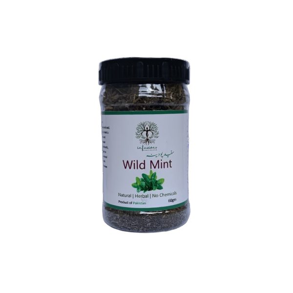 Wild Mint (Safed Pudina) - Dried
