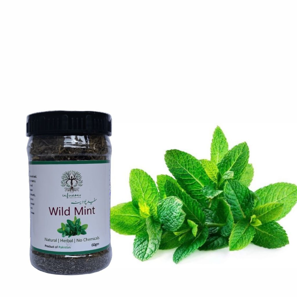 Wild Mint Tea (Safed Pudina) - Dried