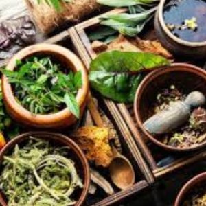 Herbs